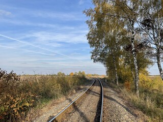 Railway tracks in the middle of the forest and field with trees in autumn