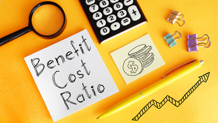 Benefit cost ratio is shown using the text