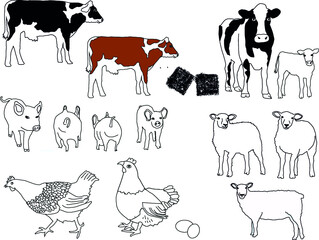 Illustrator drawing of Farm Animals. Cows, pigs, hen and sheep