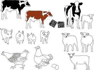 Illustrator drawing of Farm Animals. Cows, pigs, hen and sheep