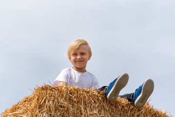 Naklejka na ściany i meble Cute schoolboy boy is sitting on haystack in field on sky background. Harvesting. Summer day in village.