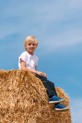 Naklejka na ściany i meble Portrait of cute blond schoolboy on haystack on blue sky background. Ingathering. Vertical frame.