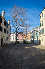 Un albero cresce in un tipico campiello veneziano