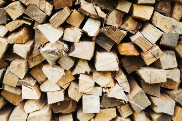 Tree cut cross section texture. Wood industry background. Chopped wood texture. Stacked tree logs pattern. Pile of raw tree wood in forest. Firewood background.