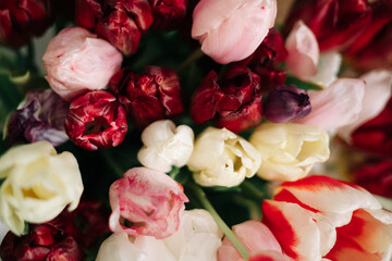 Tulips bouquet