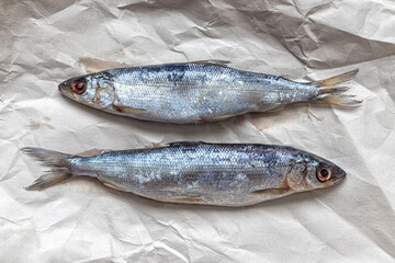 Two lightly salted Baikal omul on wrapping paper