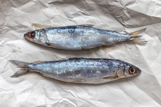 Two lightly salted Baikal omul on wrapping paper