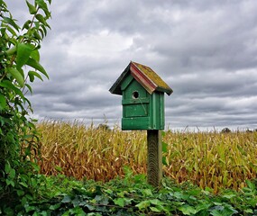 bird house in the forest