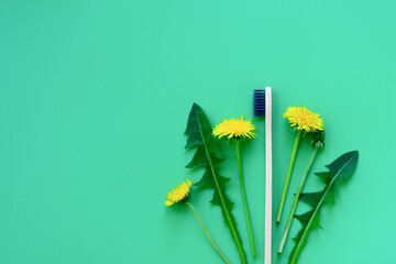 Eco friendly concept of tooth care and zero waste. Bunch with yellow dandelions, leaves and bamboo...