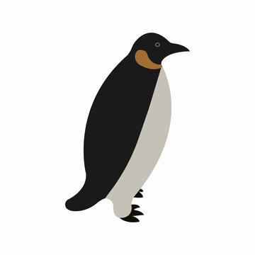 Cute penguin animal vector icon.