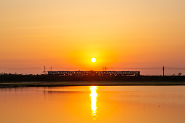 田んぼに映える夕日と羽越線の電車