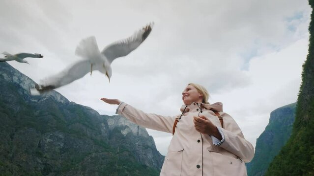 Seagulls are circling around the woman who feeds them. Against the backdrop of a beautiful landscape in Norway. Fjord cruise