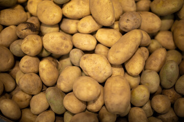 Potatoes from garden. Root vegetable on market.