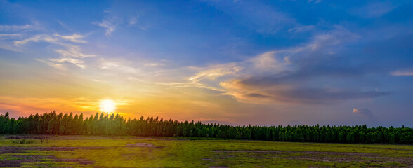Fototapeta na wymiar sunst landscape with colorful sky near forest edge