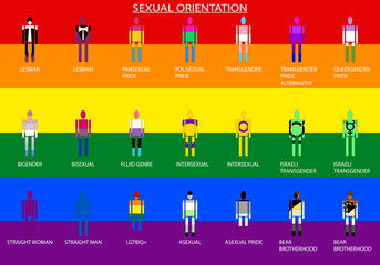 Orientación sexual de los diferentes colectivos LGTBIQ+ con sus banderas dentro de la silueta de una persona y acompañadas del nombre de los diferentes colectivos. Educación sexual. Sexualidad - obrazy, fototapety, plakaty