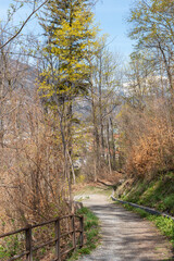 Spring time in Chur in Switzerland