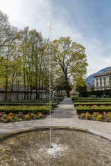 Fresh growing flowers in a park in Chur in Switzerland
