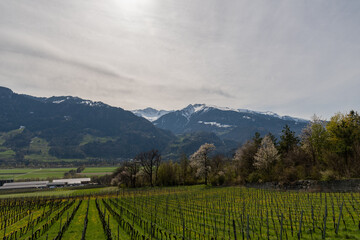 Fantastic mountain panorama near Maienfeld in Switzerland