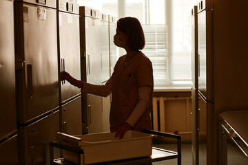 Side view outline of young female nurse working in storage room of clinic, copy space