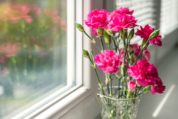 bunch of pink carnation flowers in vase on windowsill reflecting on window glass