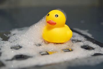 canard de bain