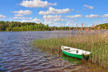 old boat on the lake shore, beautiful summer landscape