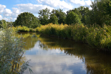paysage marais