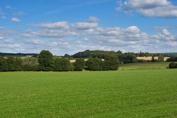 paysage agriculture