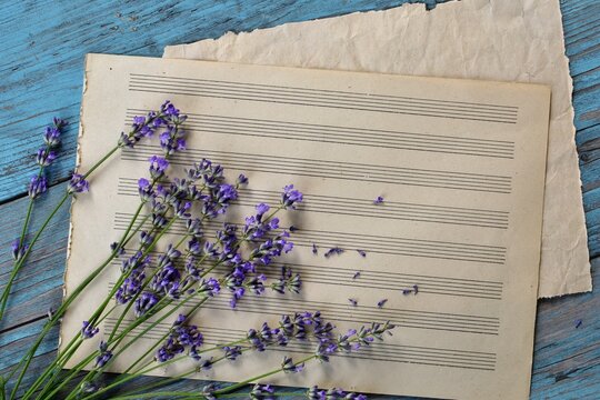 Blank sheet music with lavender flowers on vintage blue  wooden background closeup. Happy Birthday, Valentine's day, wedding, Mother's Day invitation greeting card concept.