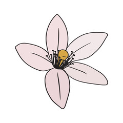 Lemon or orange flower simple color icon. Botanical flower bud