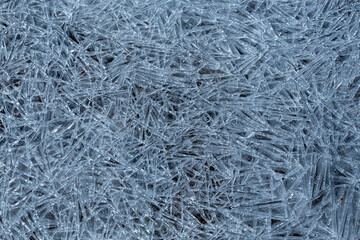 freeze ice 
