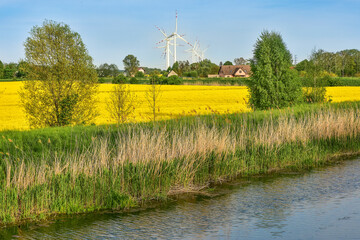 wind farm, rape field and river, beautiful landscap