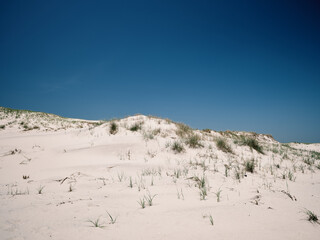 The tall and protective sand dunes separating the Atlantic Ocean from the waters of Barnegat Bay on...