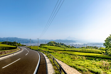 静岡県静岡市の日本平から新緑のお茶畑と富士山が見える道路