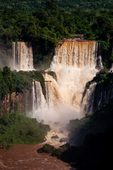 waterfall in the forest