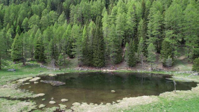 lago di montagna natura ecosistema paesaggio parco del stelvio alpi 