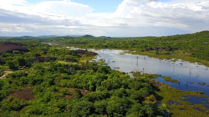 river in the jungle