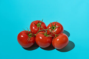 A bunch of ripe fresh red tomatoes is isolated on a bright blue background. Bright light, deep shadow. Close-up, copy space.