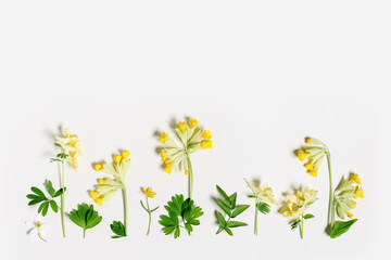 Obraz premium Spring grass and flowers creative flatlay, botanical background, yellow, white wild flower and green grass, nature design minimal botanical pattern, top view different field blooms, copyspace