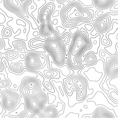 Grid map. Topographic map background. Abstract vector illustration. Vector.