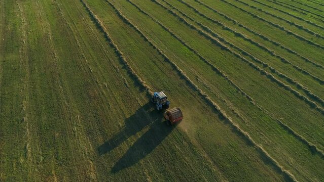 Aerial view tractor with baling machine making silage bales on farmland at agricultural field. Drone shot haystack and harvesting dry grass for agriculture. Farmers season to cut and harvest crops