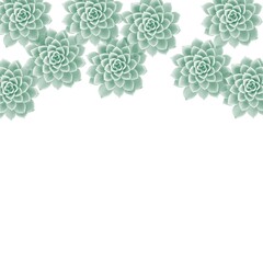 Naklejka premium Beautiful succulents. Beautiful flowers and backgrounds. Backgrounds for business with plants. Beautiful template for presentations.