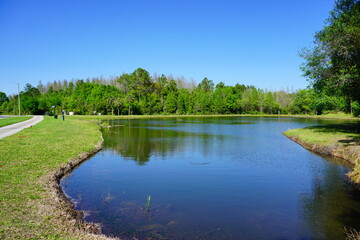 A pond in a community of Florida	