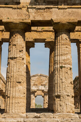 Fototapeta premium Paestum, originally Poseidon - Siberian colony, founded in the early 6th century BC. Ancient ancient city. The Temple of Neptune