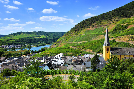 Overlooking beautiful vineyards and village in the Moselle river region of Germany