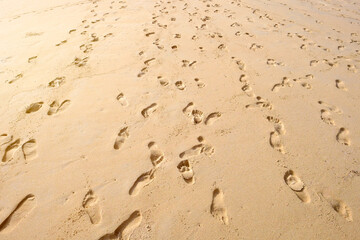 Many footprints on sandy beach background.