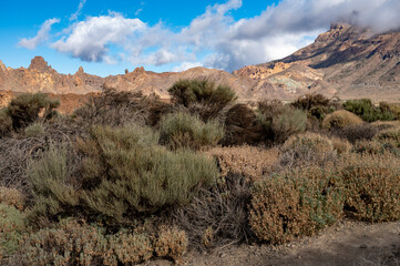 Visiting Teide national park on Tenerife and view on volcanic landscapes, Canary islands, Spain