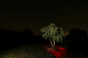 Anthropomorphic tombs in the dark, under the stars