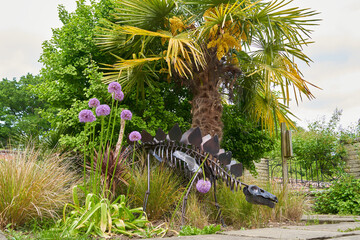 Palm tree in a summer garden