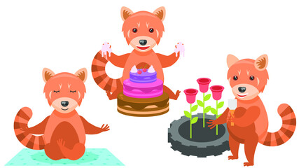 Obraz na płótnie Canvas Set Abstract Collection Flat Cartoon Different Animal Red Pandas Meditating On The Carpet, Eating Cake, Planting Roses In A Flower Bed Vector Design Style Elements Fauna Wild